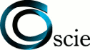 logo de Servicios de Comercio Internacional Esquer