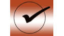 logo de Bruins Instruments USA