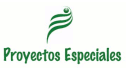logo PE-Proyetos Especiales