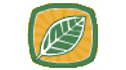 logo Best Ground International