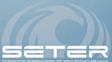 logo de Servicios Terrestres de Seguridad Privada