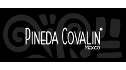logo de Pineda Covalin Mexico