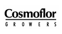 logo Cosmoflor