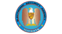 logo Securivyk