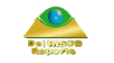 logo Del Risco Reports