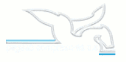 logo de Pegaso Compresores