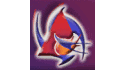 logo HWFE de México