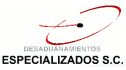 logo Desaduanamientos Especializados