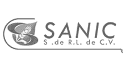 logo de sanic