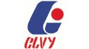 logo de Industrias de Polietileno Elvy