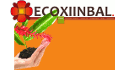 logo Ecoxiinbal