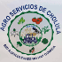 logo de Agro Servicios de Cholula