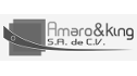 logo de Amaro & King