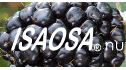 logo Isaosa