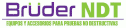 logo de Bruder NDT