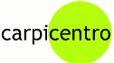 logo Carpicentro de Hidalgo
