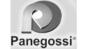 logo de Panegossi Industria de Pecas Ltda.