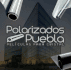 logo de Polarizados Puebla