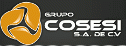 logo Grupo Cosesi
